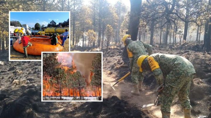 Hay 3 incendios forestales activos en Perote; fuego ha arrasado con más de 400 hectáreas de bosque