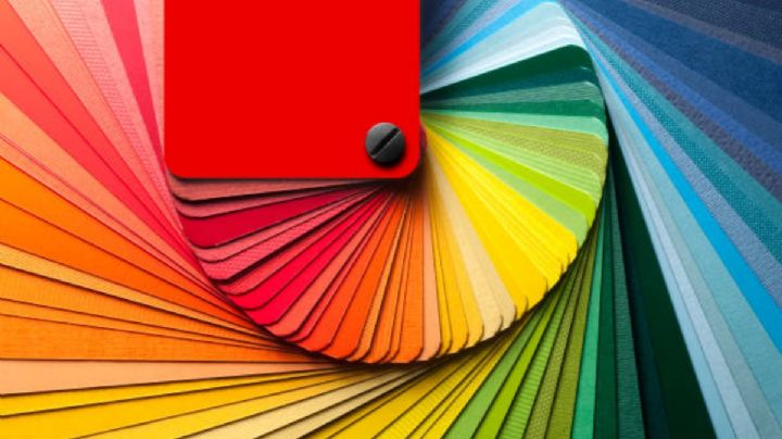 Descubren un nuevo color: ¿cómo es y cómo se pudo ver?