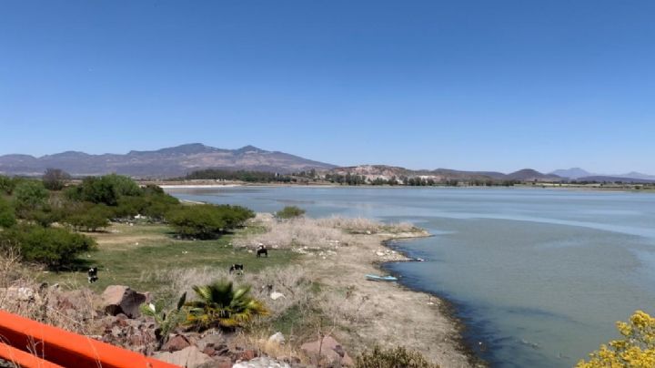 Sequía se intensifica en gran parte del territorio de Guanajuato