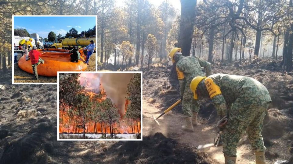 Hay 3 incendios forestales activos en Perote; Fuego ha arrasado con más de 400 hectáreas de bosque