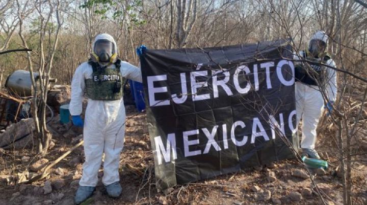 Operación Frontera: van más de 29 mil kilogramos de droga decomisada