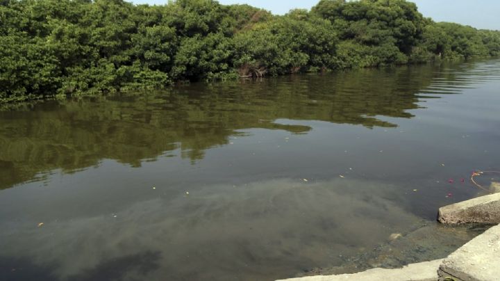 EU acusa a México de contaminar agua del río Tijuana