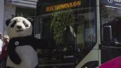 Foto ilustrativa de la nota titulada: Electromovilidad: indispensable para un futuro sostenible