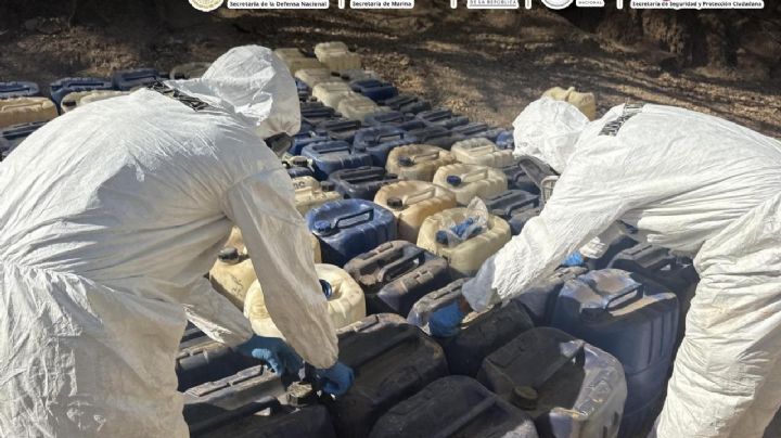 Golpe de 50 millones al narcotráfico: destruyen 2 laboratorios clandestinos