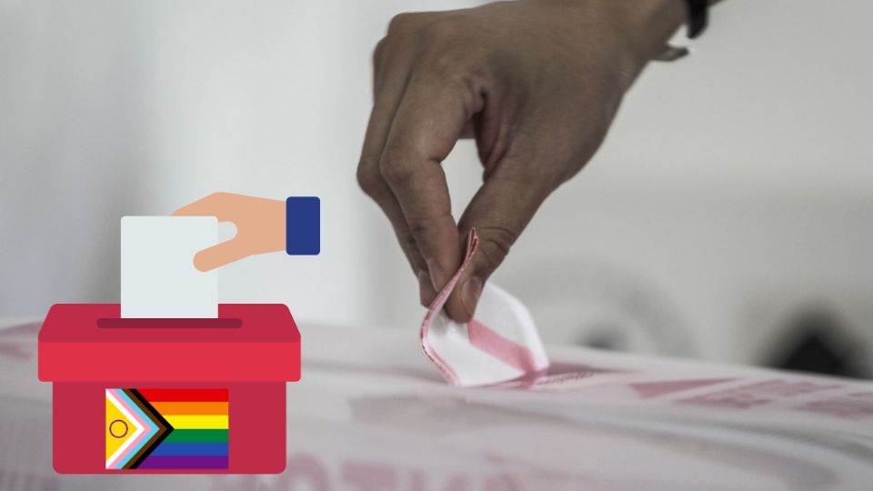 ¿Qué partido postuló a más personas de la diversidad sexual en las elecciones de Veracruz?