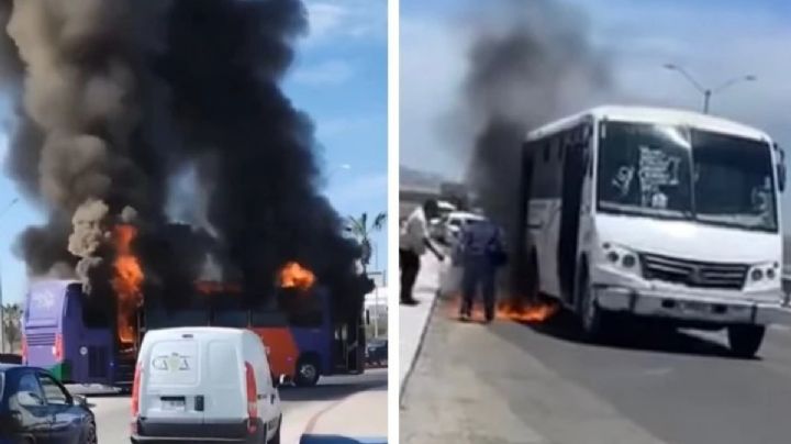 Por tiroteos, homicidios y quema de autobuses, EU emite alerta por violencia en BCS