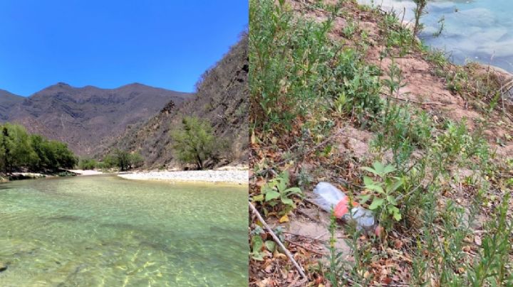 Turistas empiezan a ensuciar el paraíso del platanal en Xichú