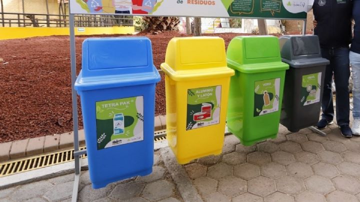 Así ahorró Pachuca 641 mil litros de agua y salvó 103 árboles