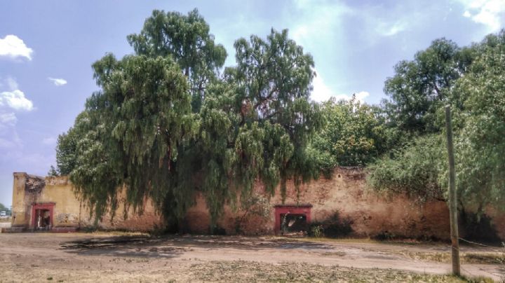 Esta ex hacienda es la más importante de Guanajuato... aunque está deteriorada