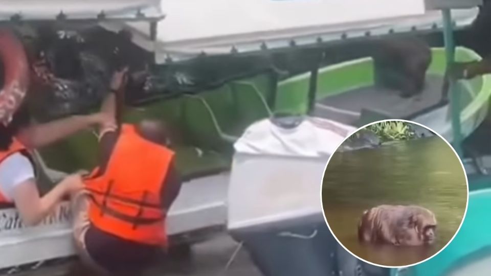 Turistas viven susto al tener uno a bordo