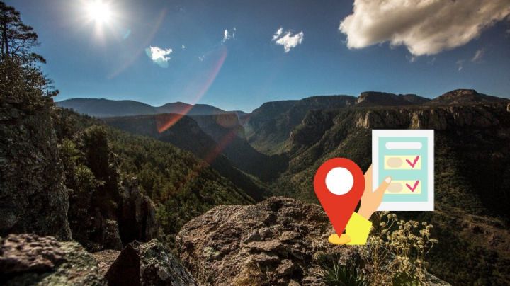 Buscan a encargados de 10 áreas naturales protegidas de Veracruz; aquí los requisitos