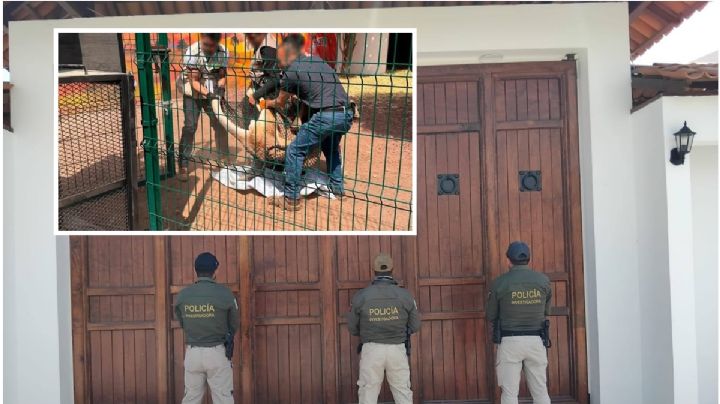 ¿A dónde se llevaron los canguros incautados en casas de delincuentes en Hidalgo?