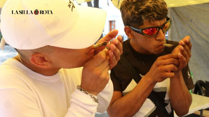 Narcomenudeo en Paseo de la Reforma desplaza a activistas en favor de la marihuana