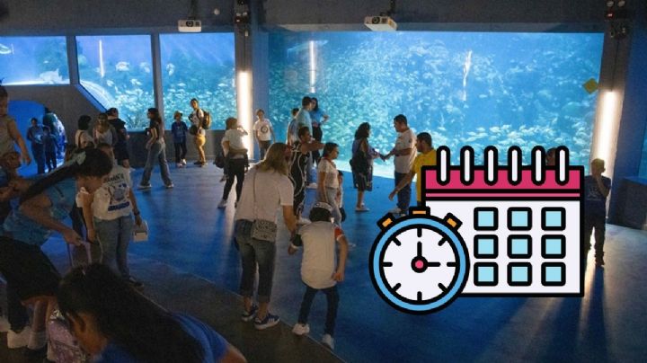 Conexión Azul, programa especial del Aquarium de Veracruz para personas con autismo; días y horario