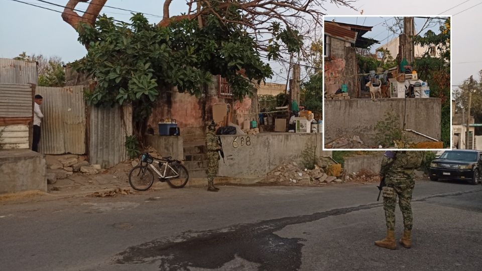 Mujer fallece a causa del ataque de un perro en Veracruz