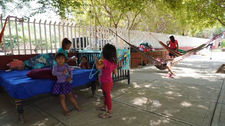 Huérfanos de la violencia: los niños que las autoridades no quieren ver