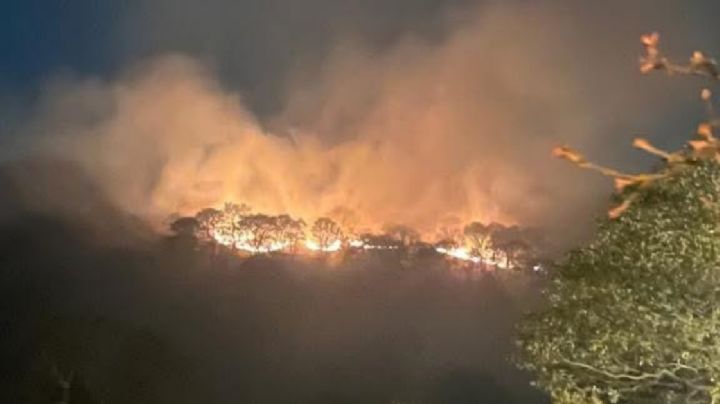 Le prenden fuego a Sierra de Lobos y afecta 100 hectáreas de bosque de encino
