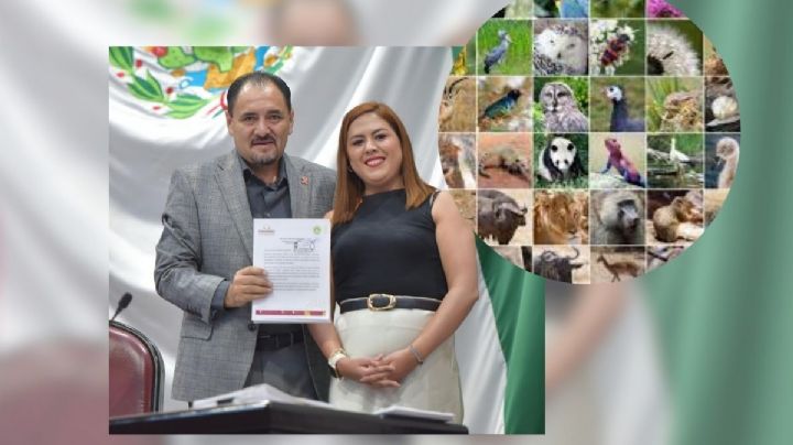 Propone PVEM incorporar Bienestar animal en la Constitución Política local