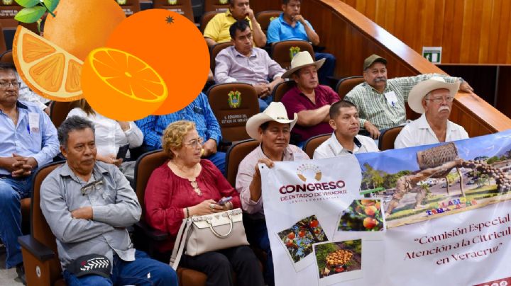 Crea Congreso Comisión Especial que atenderá temas de citricultura