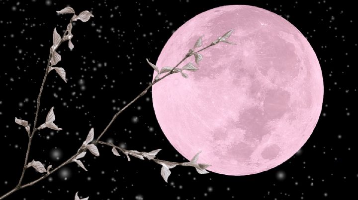 Luna rosada y lluvia de estrellas que no te puedes perder; te decimos cuándo y dónde ver en Hidalgo