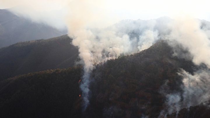 Desalojan comunidades de Tlahuiltepa por incendio forestal, solicitan víveres y voluntarios