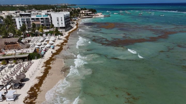 El futuro se entrena con datos… ¿y se entierra con sargazo?