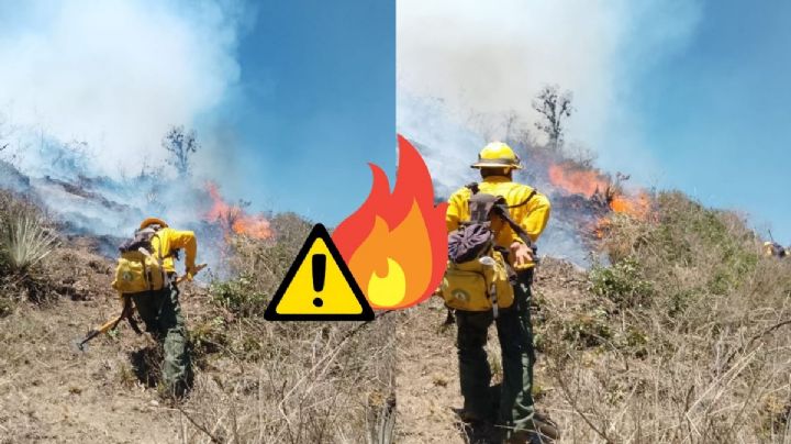 Tras propagación de fuego, controlan fuerte incendio forestal en  Aquila