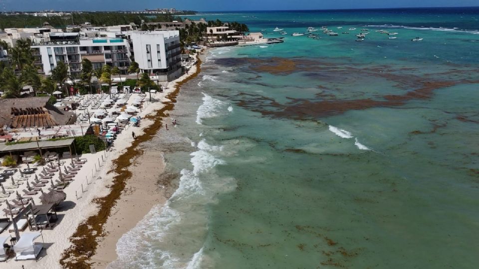 El sargazo no es solo un problema ambiental, es un espejo de nuestras contradicciones