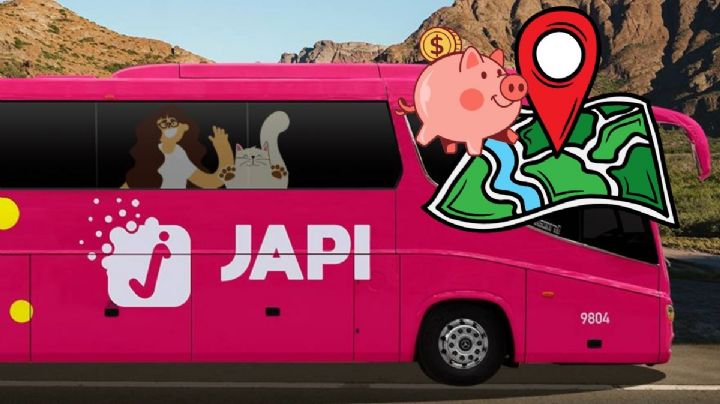 Autobús Japi en Veracruz: con nuevas corridas 2025, estos son los destinos a precios bajos