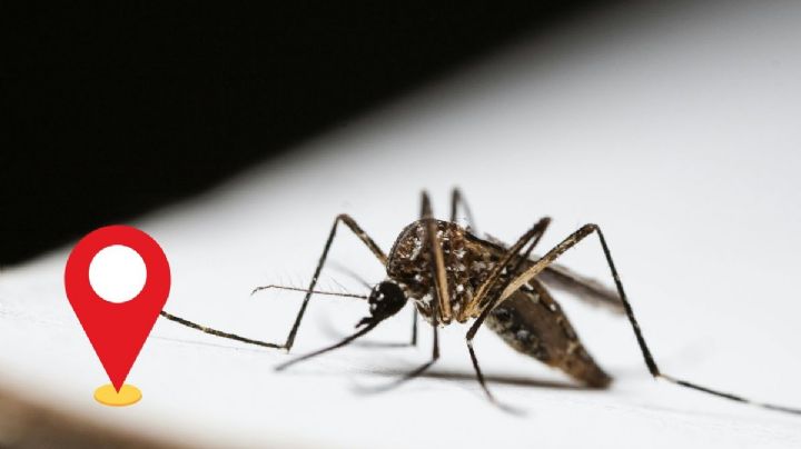 Veracruz - Boca del Río, los municipios con más casos de dengue: Rocío Nahle