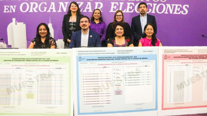 Las boletas para la elección del Poder Judicial de la Federación: Capítulo III
