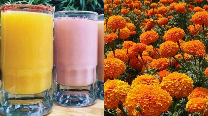 ¿Quién es el dueño de la pulquería de la CDMX con más de 100 años y creadora del curado de cempasúchil?