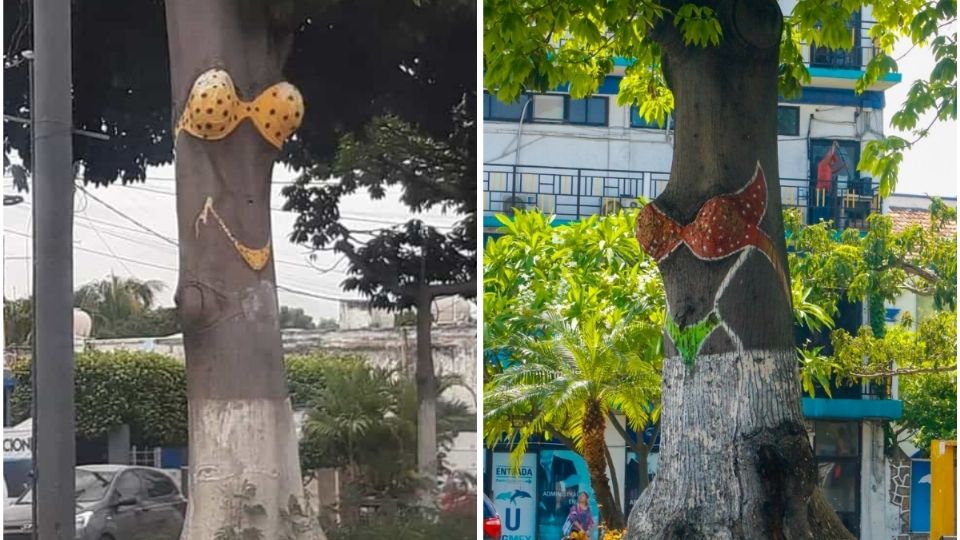 ¿Quién pintó el famoso árbol del Bikini en Veracruz?