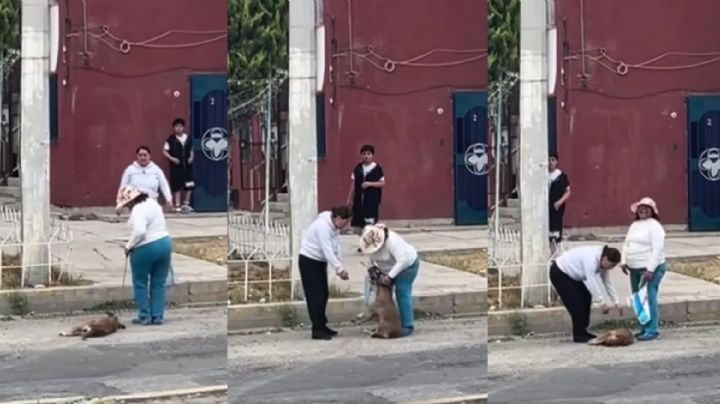 Mujer arrastra del cuello a perrita en El Palmar, activista la rescata | VIDEO