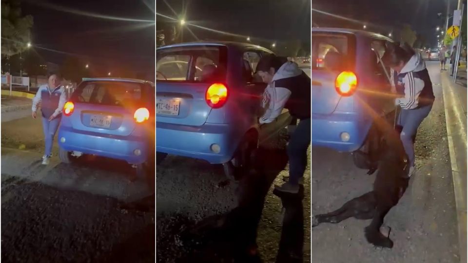 El perro fue rescatado y llevado a una veterinaria