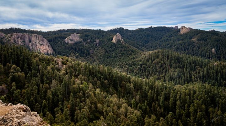 Parque nacional El Chico tendrá estas áreas cerradas temporalmente