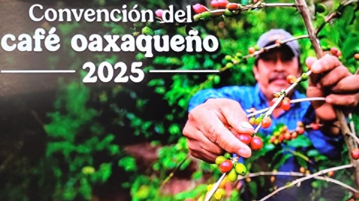 Secretaría de Agricultura anuncia convención en apoyo a caficultores de Oaxaca