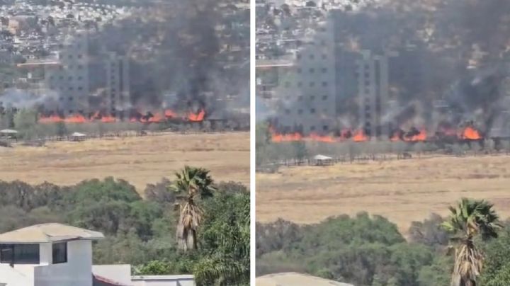 Se incendia terreno colindante al Parque Metropolitano de León