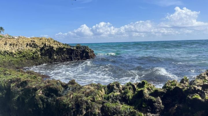 Vacaciones de verano 2025: estos serían los destinos más visitados, ¿México está en la lista?