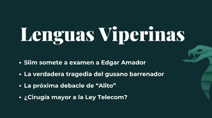 Lenguas Viperinas