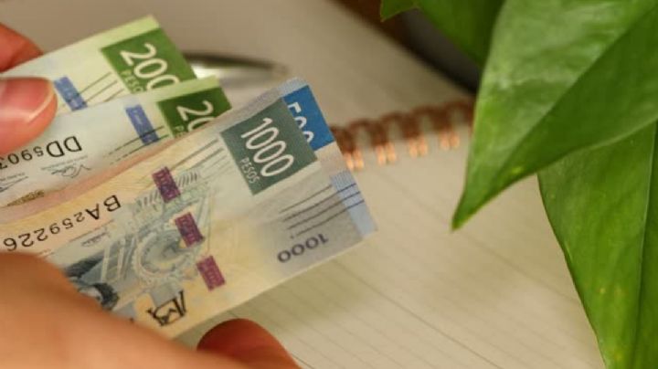 Desempleo ahorca bolsillos: retiros de Afore rebasan 3 mil mdp en junio