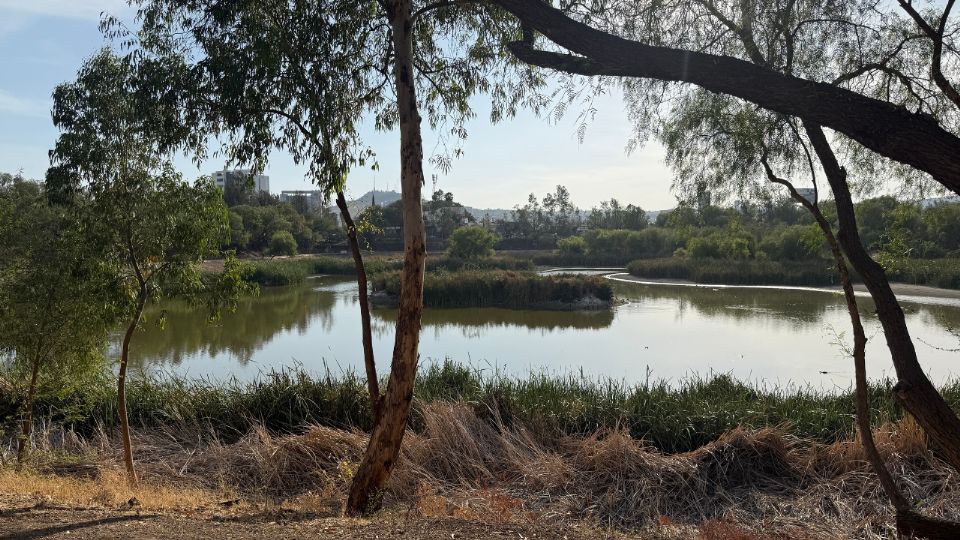 Los Carcamos: Un charco de agua en medio del pasto seco