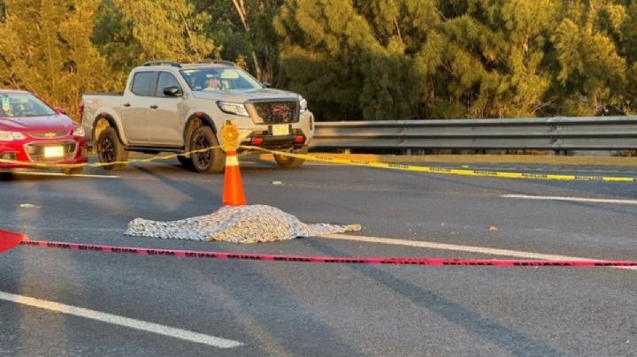 Esto sabemos de la mujer que murió atropellada en la México-Pachuca