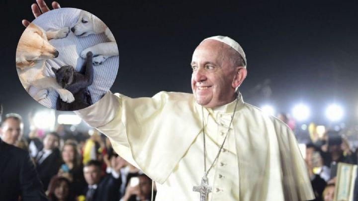Adiós Francisco, el papa animalista