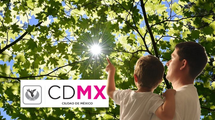 Día sin Sombra 2025: así se podrá VER el fenómeno en la CDMX