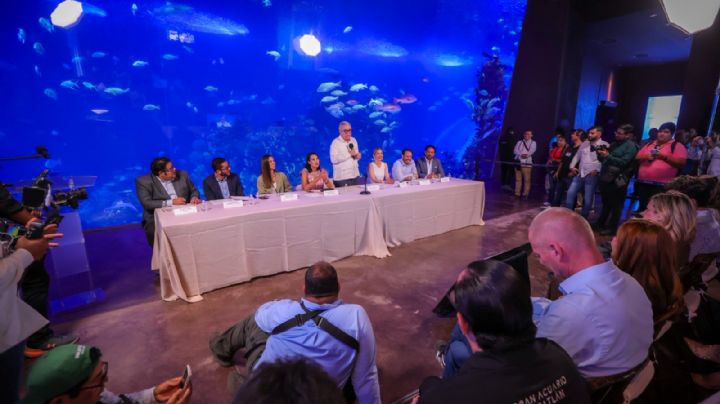 Así será el nuevo Hotel Hard Rock en Mazatlán; costará 550 millones de dólares