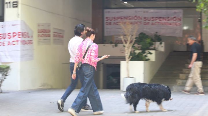 Polanco: oficinas y casas se rentan como Airbnb