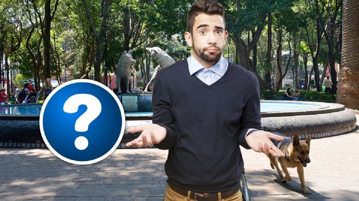 Esta es la colonia que podría cambiar de nombre ¿cómo es y por qué?