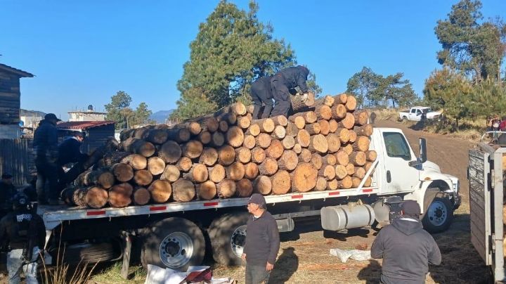 Huitzilac, límite de Morelos y CDMX, epicentro de la tala ilegal de árboles