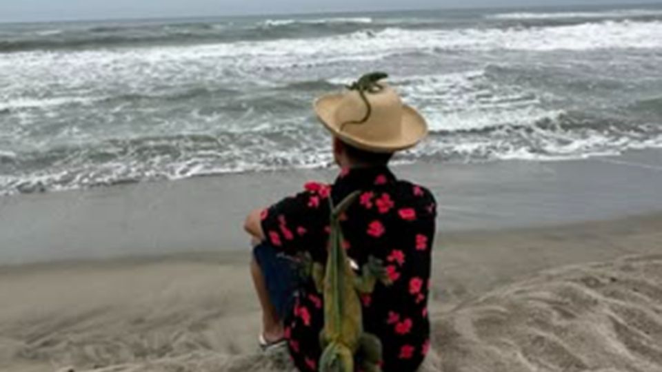 Le comentó que saldría al teatro con unas amigas